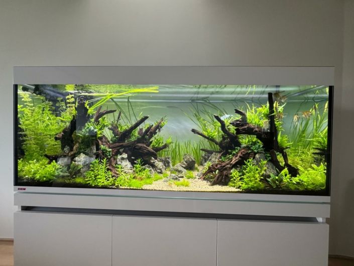 aquarium incpiria 430 belgique