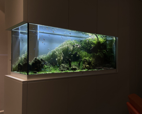 combien coute un aquarium sur mesure