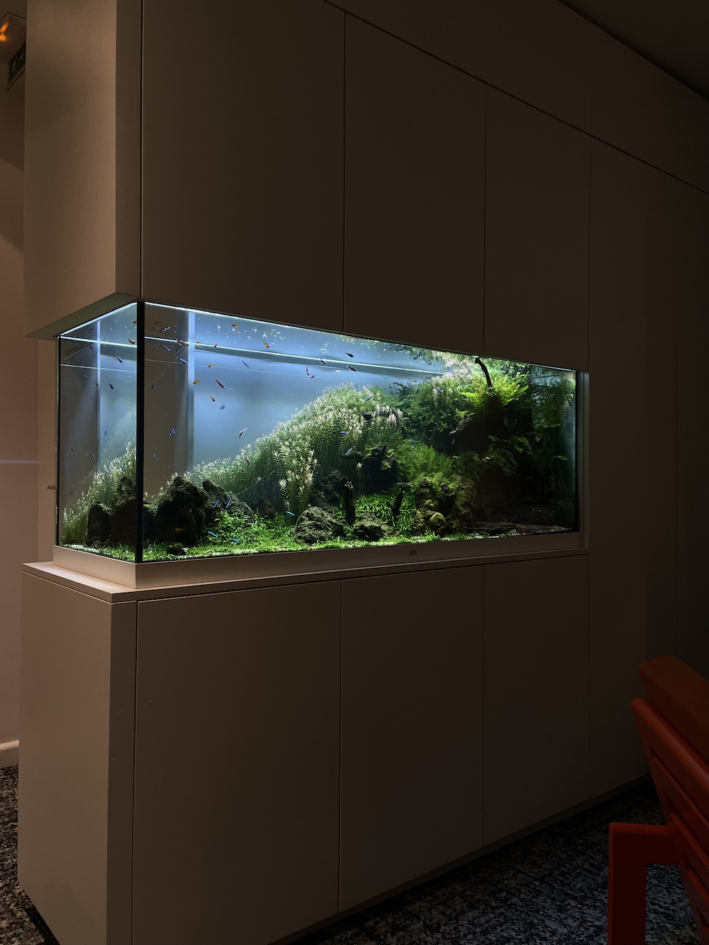 combien coute un aquarium sur mesure