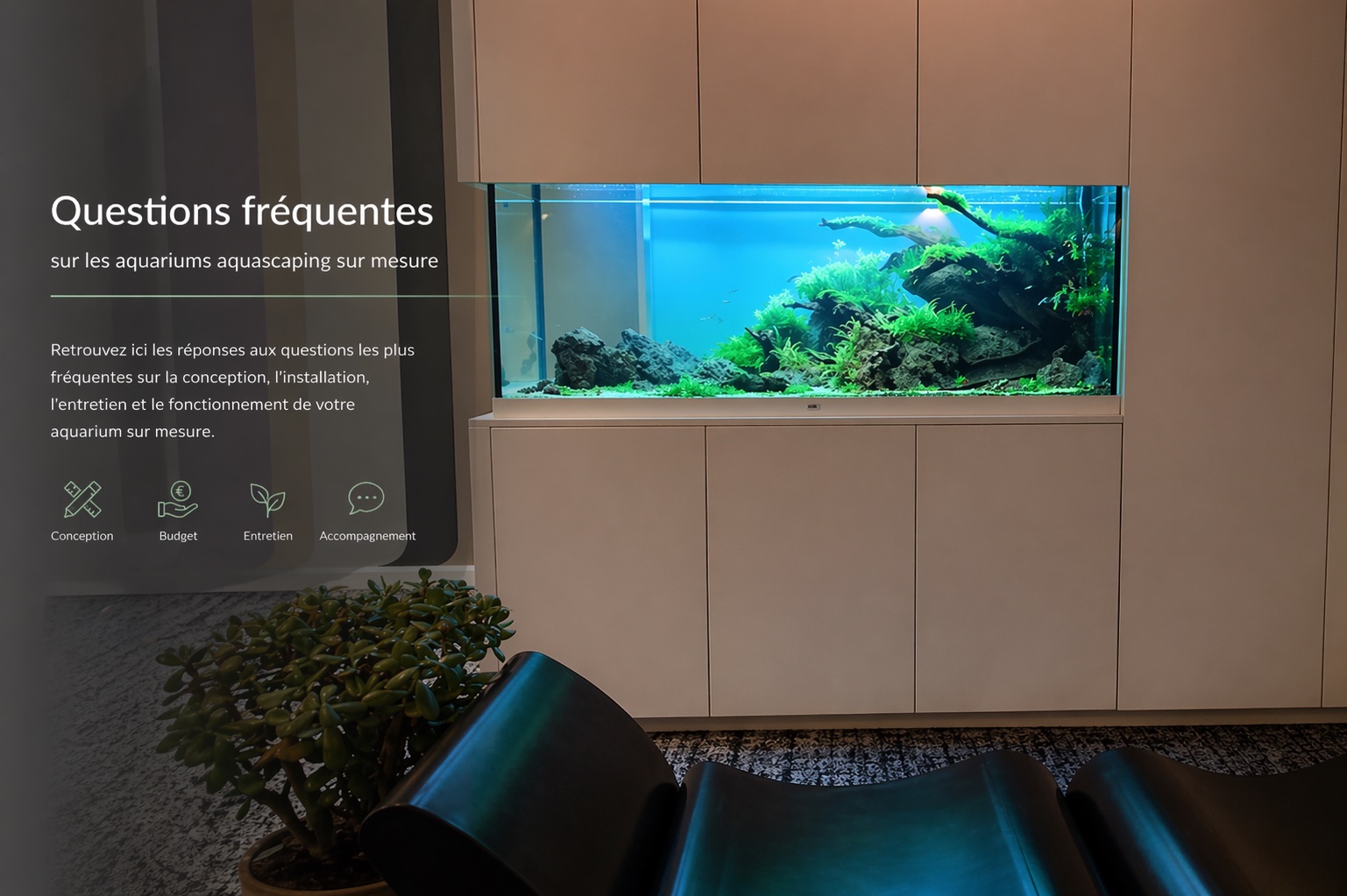 faq aquarium sur mesure aquascaping