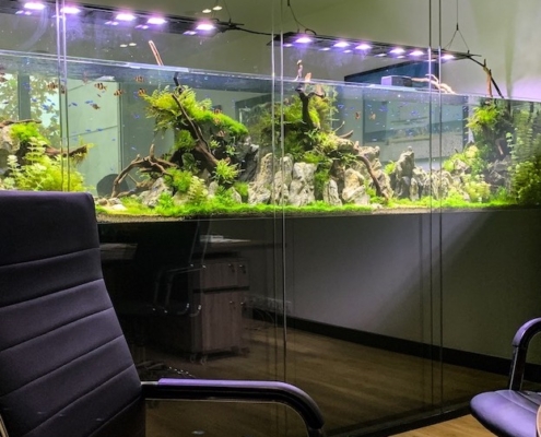 aquarium-bureau