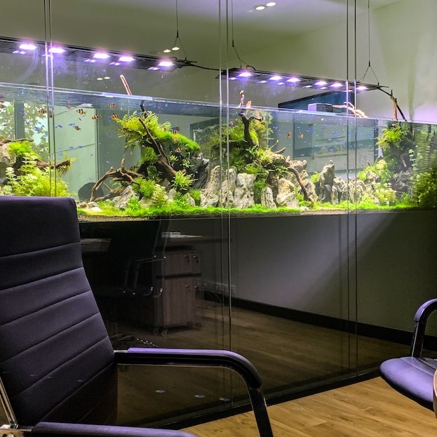 aquarium-bureau