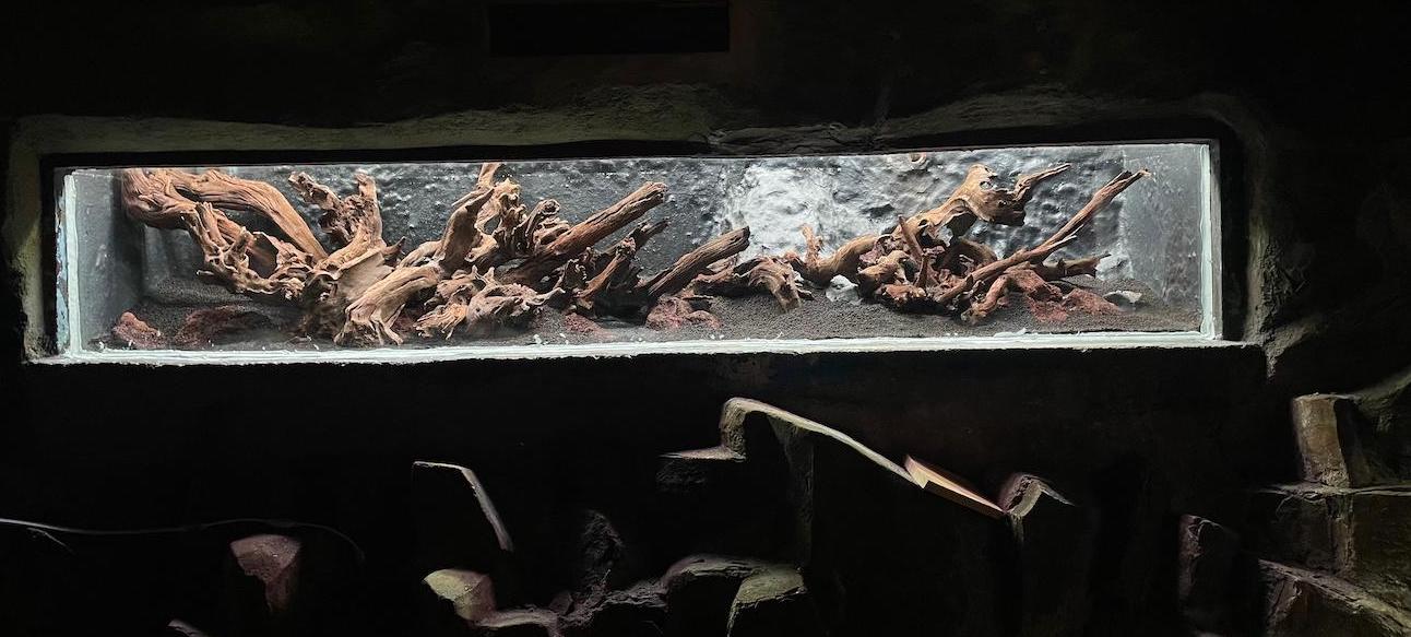galerie aquarium public hardscape