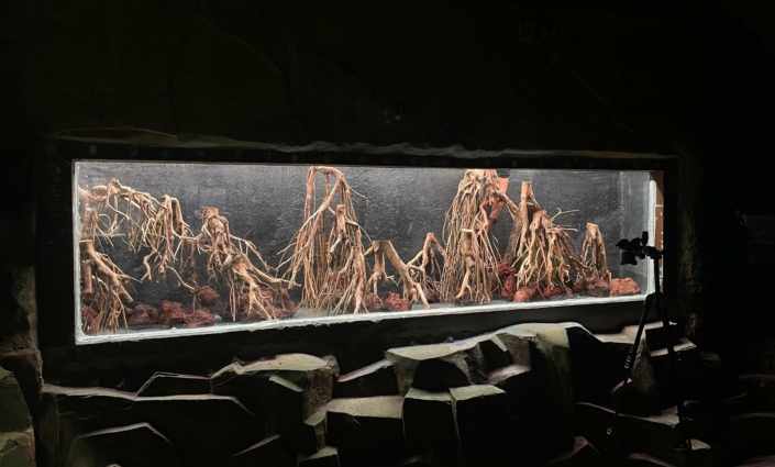 hardscape roc