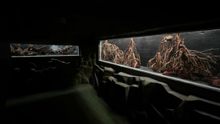 galerie aquariums
