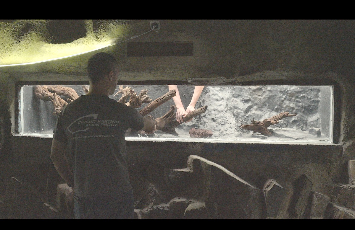 réflexion hardscape