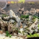 mountainscape planté