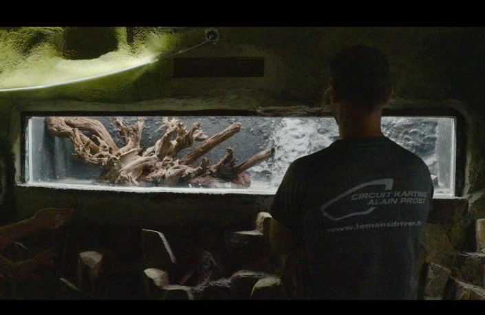 réflexion montage aquarium