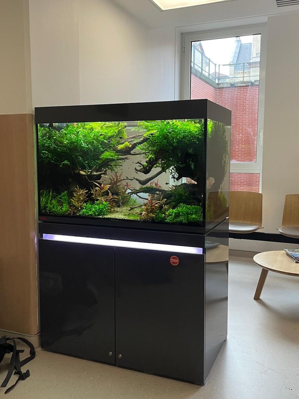 Aquarium planté de 330 litres dans la salle d'attente d'un hôpital, Paris